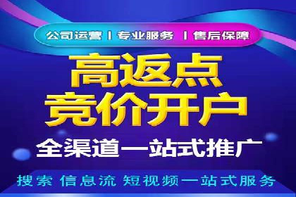 百度推广全流程解析：从入门到精通的案例教学